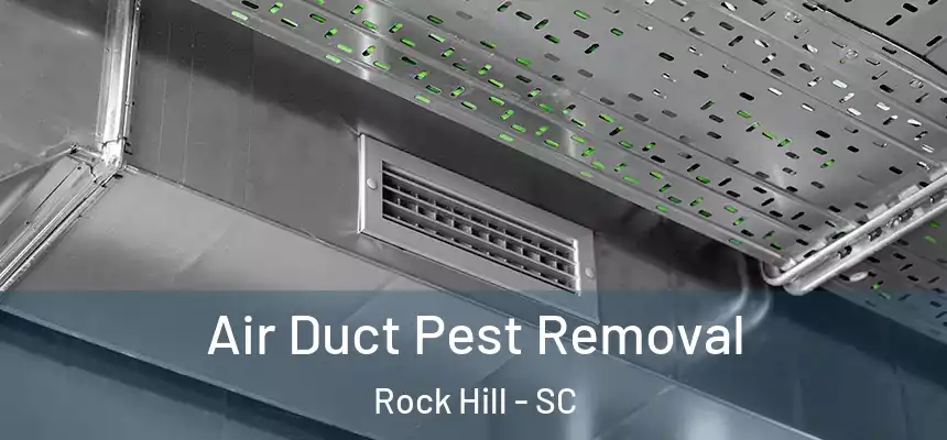 Air Duct Pest Removal Rock Hill - SC