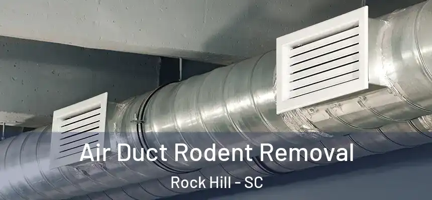Air Duct Rodent Removal Rock Hill - SC