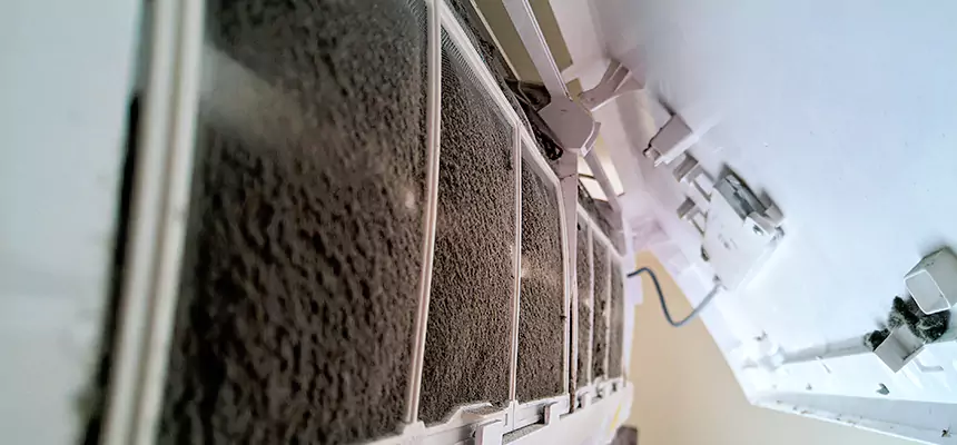 Preventive Air Duct Bacteria Removal in Rock Hill