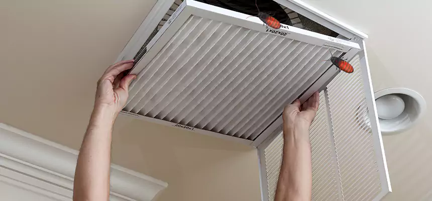 Preventive Cockroach-Proofing for Ducts in Rock Hill