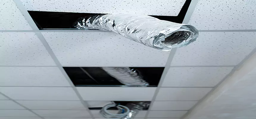 Affordable HVAC Sanitizing After Pest Removal in Rock Hill