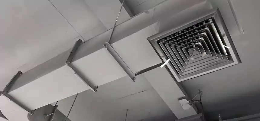 Restorative Allergy Relief Vent Cleaning – Coil, Blower & Housing Detail in Rock Hill