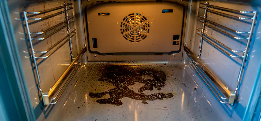 Our Dryer Vent Mold Cleaning Services in Rock Hill, SC