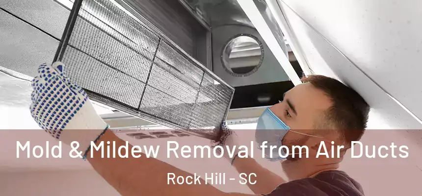 Mold & Mildew Removal from Air Ducts Rock Hill - SC