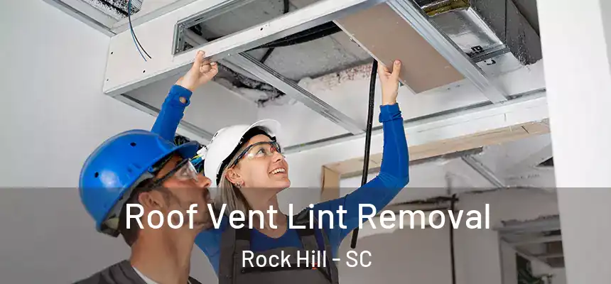 Roof Vent Lint Removal Rock Hill - SC