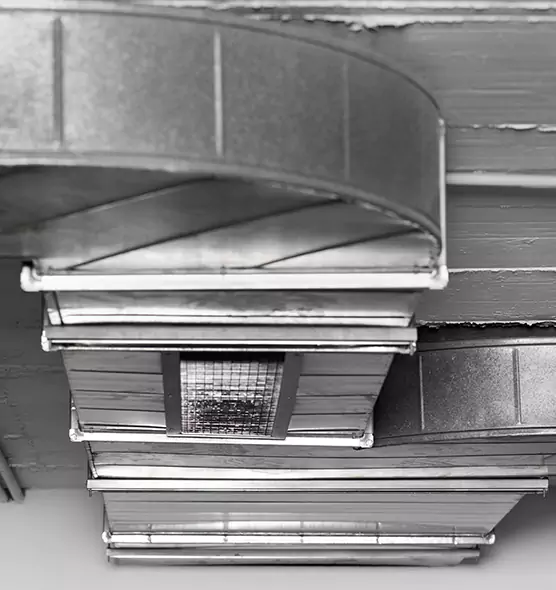 Professional Air Duct Pet Hair Removal in Rock Hill, SC