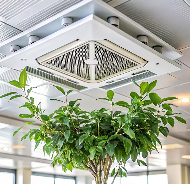 Why Homeowners & Businesses Trust Us in Rock Hill, SC